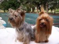/album/fotogaleria/a63793-1557461491681-1089549332-3501135-2664798-n-1-jpg/